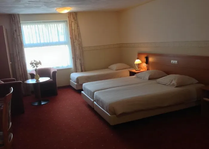 シャイダーセー ホテル 4*